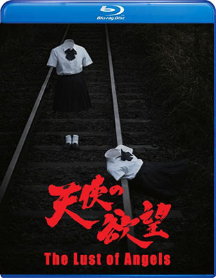 The Lust of Angels (2014)  “Tenshi no yokubou” (original title)