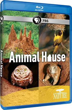 Nature The Animal House (2011)