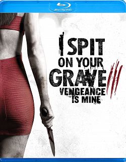 I Spit on Your Grave: Vengeance is Mine (2015)  “I Spit on Your Grave 3”
