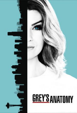 Greys Anatomy Season 13 (S13)