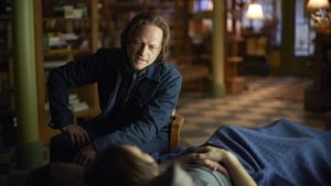 12 Monkeys: 1×12