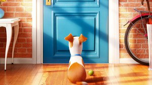 The Secret Life of Pets