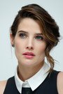 Cobie Smulders isSusan Turner